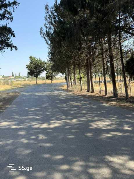 https://static.ss.ge/20251219/12_4acccd3b-0c78-40fe-8512-5636fa92d58c_Thumb.jpg