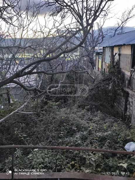 https://static.ss.ge/20251219/1_d268e28f-30b6-43c6-923e-727fabb8d476_Thumb.jpg