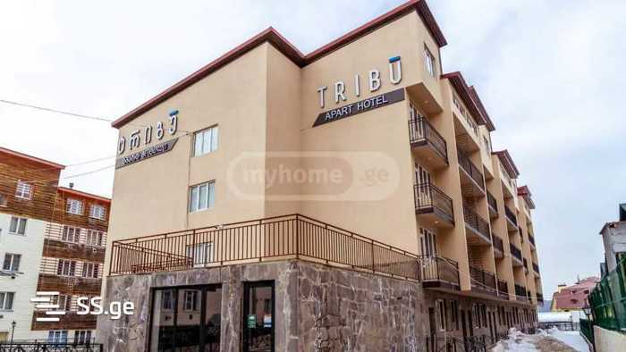 https://static.ss.ge/20251219/6_16f8b34e-f801-47f0-8214-d17aea54030a_Thumb.jpg