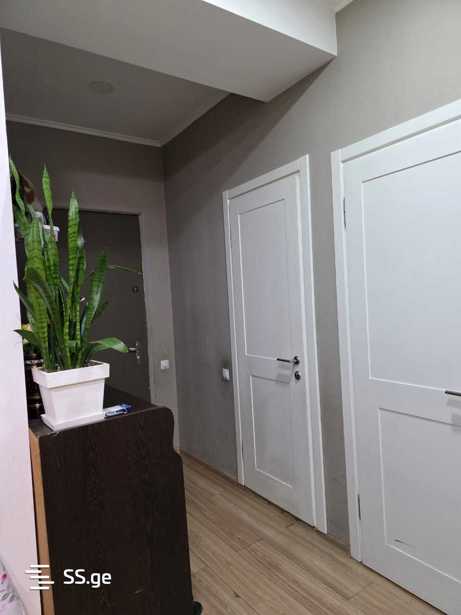 https://static.ss.ge/20251220/0_2727cc1e-74ea-40dd-b9a0-89991a87a433_Thumb.jpg