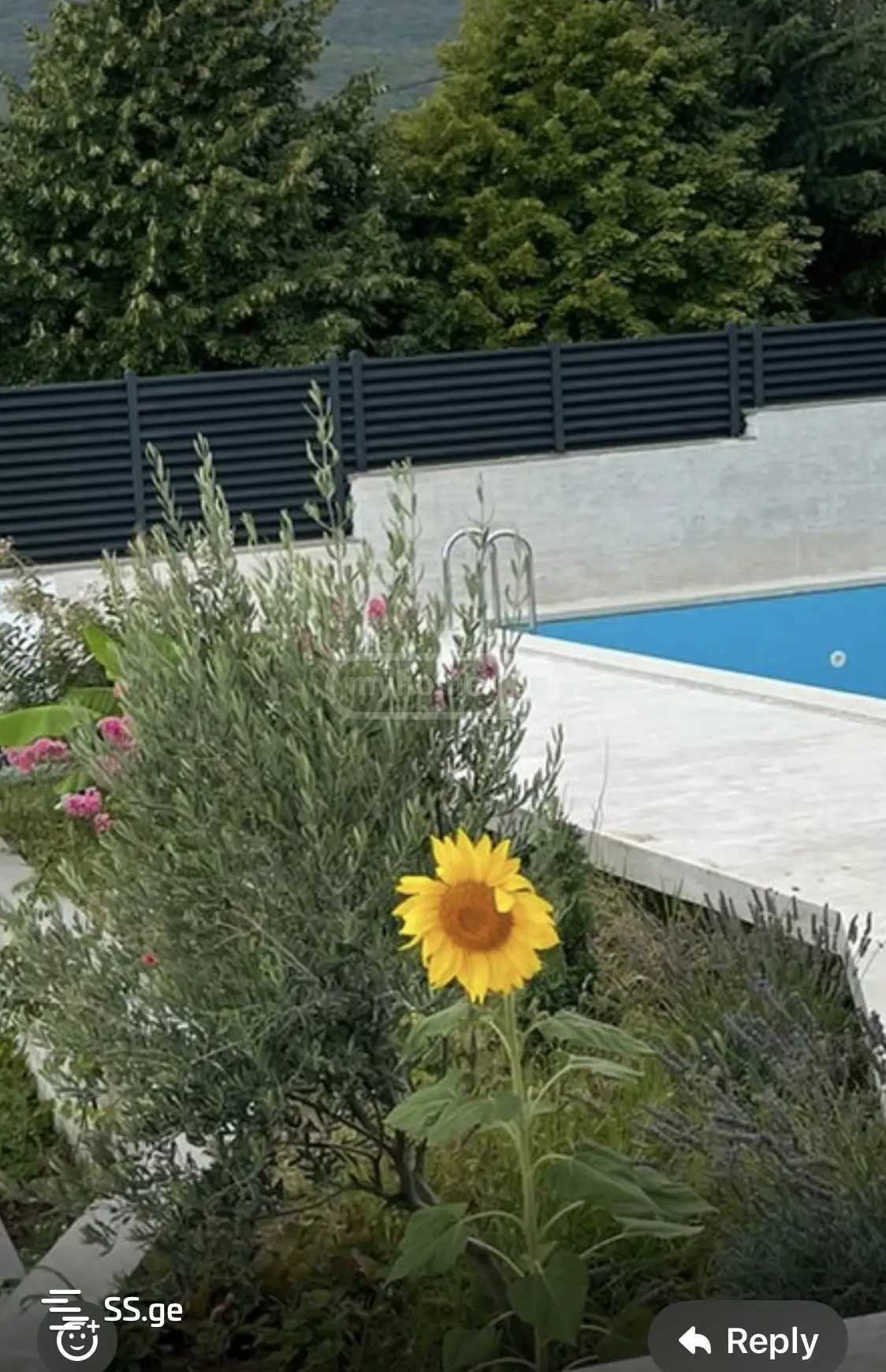 5 Room Private House For Rent. Shindisi view 1