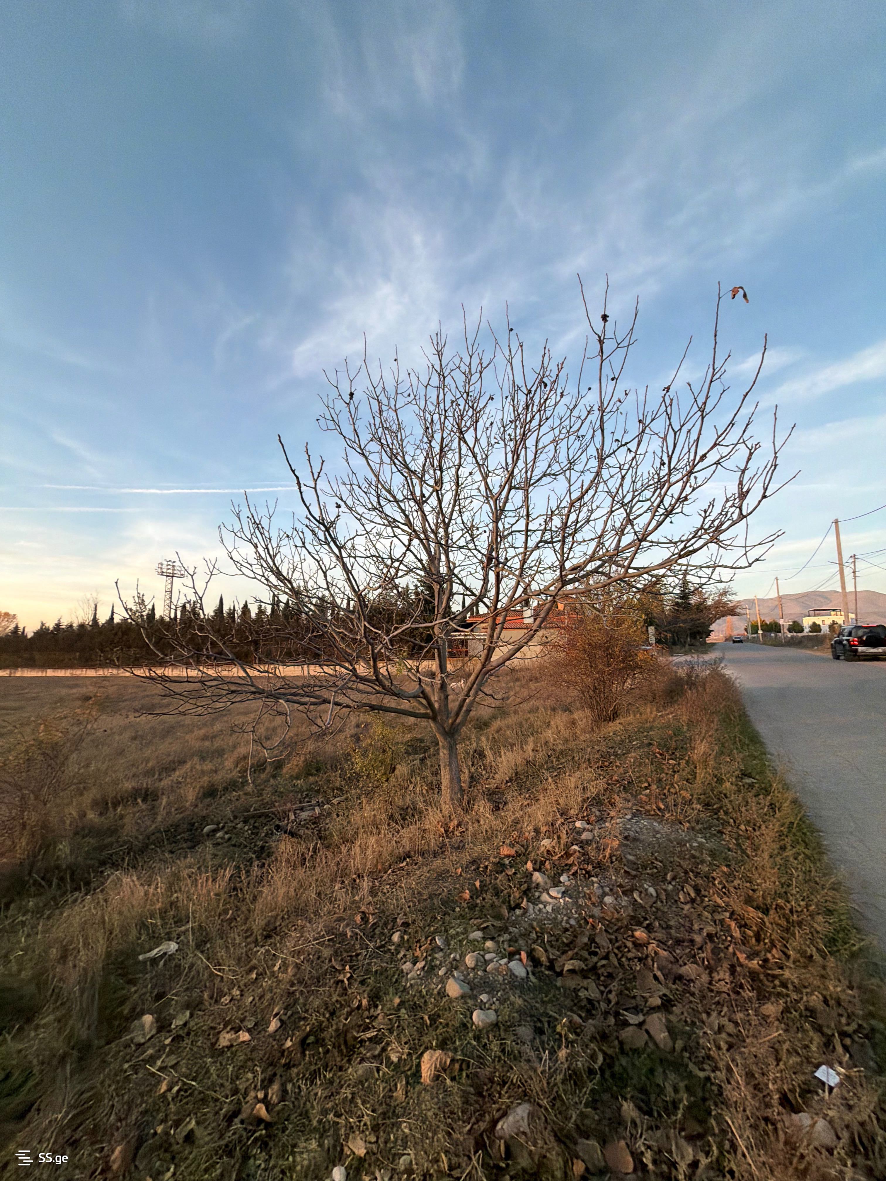 Land For Sale. Saguramo view 7