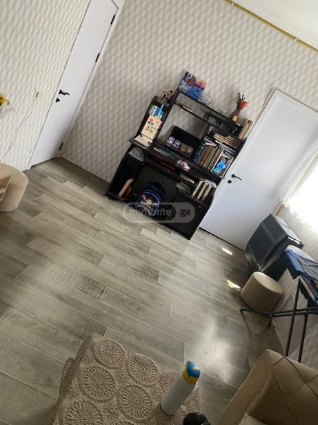 https://static.ss.ge/20251222/17_5f87583c-8f5d-4b41-8f3a-f11c2032d099_Thumb.jpg