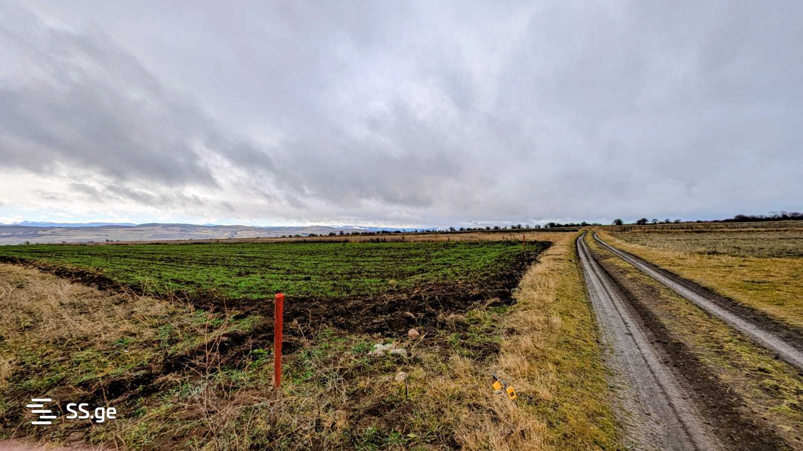 Land For Sale. Kaspi view 12