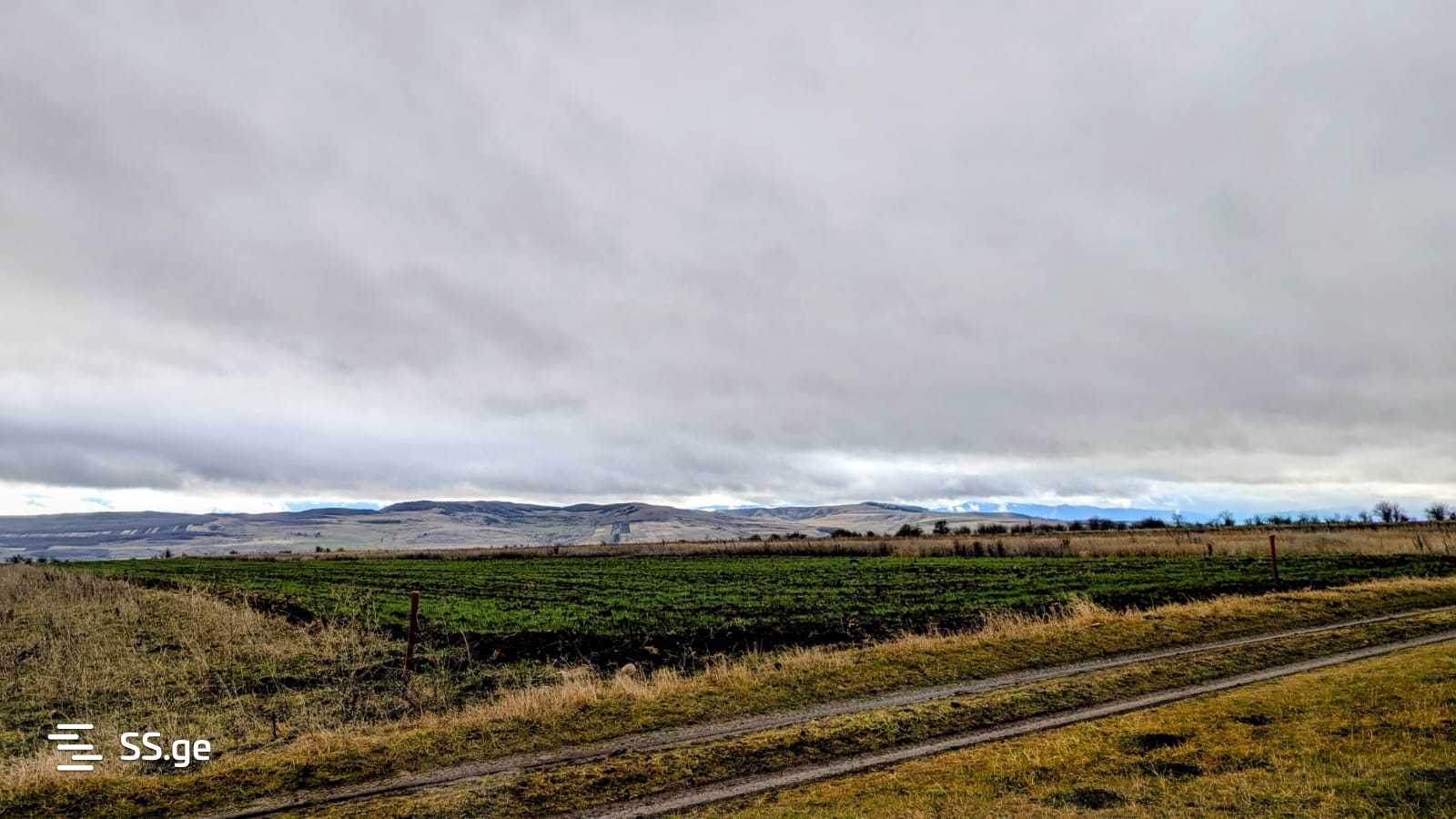 Land For Sale. Kaspi view 5