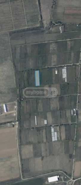 Land For Sale. Dzalisi