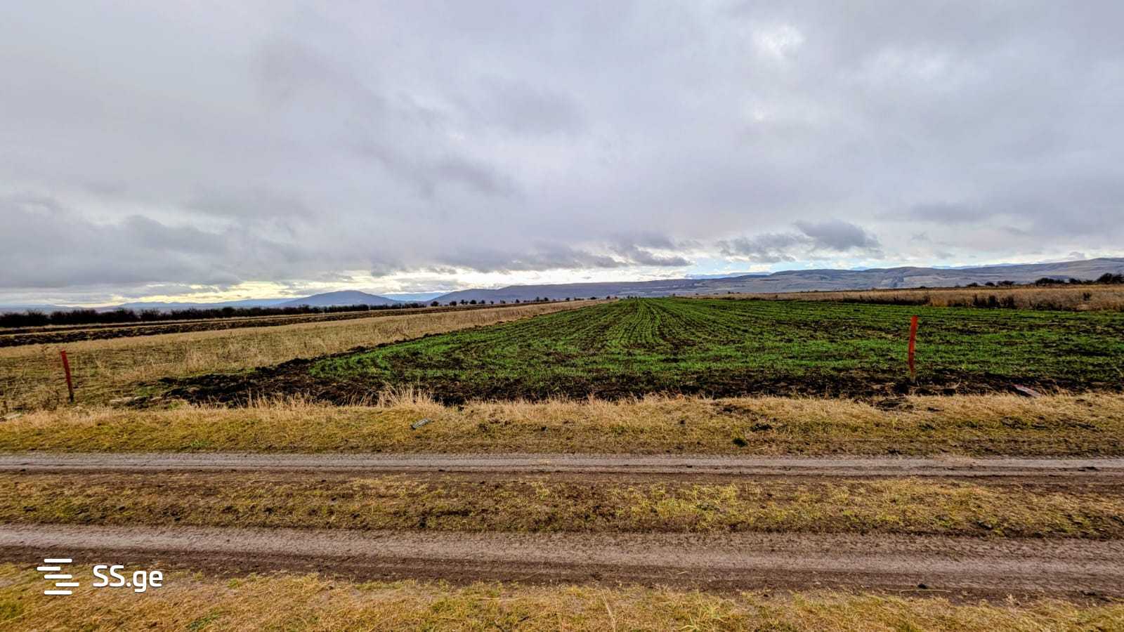 Land For Sale. Kaspi view 9