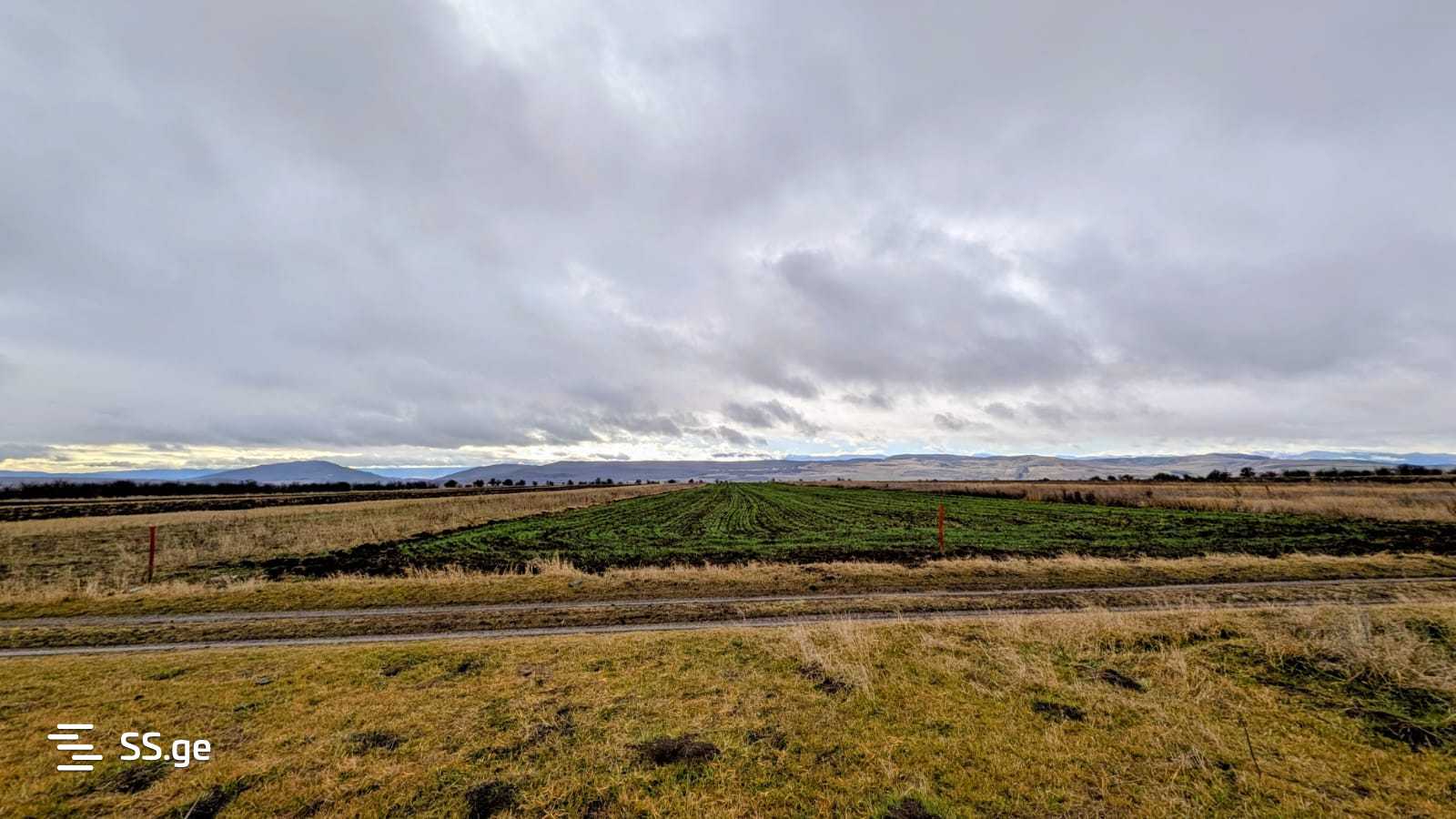 Land For Sale. Kaspi view 6
