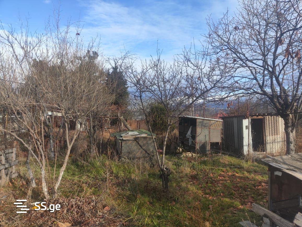 Land For Sale. Bagebi – pohled 6