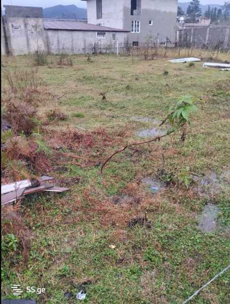 https://static.ss.ge/20251226/10_0c130854-c655-41f9-9b4b-9ac9e8a46ff7_Thumb.jpg