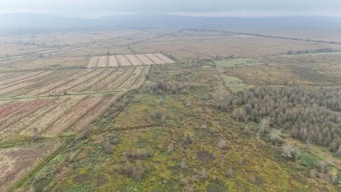 Land For Sale. Supsa