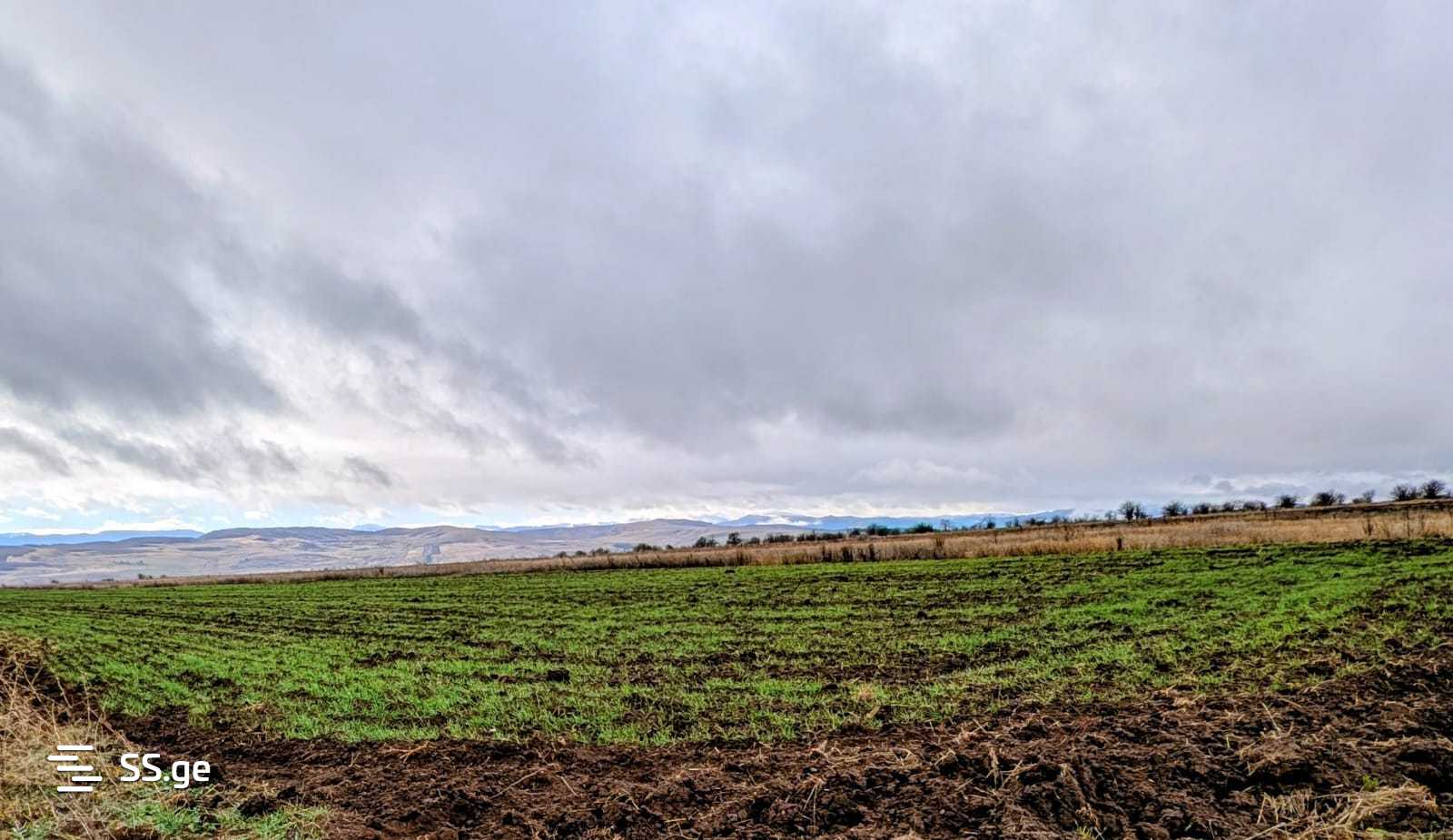 Land For Sale. Kaspi view 14