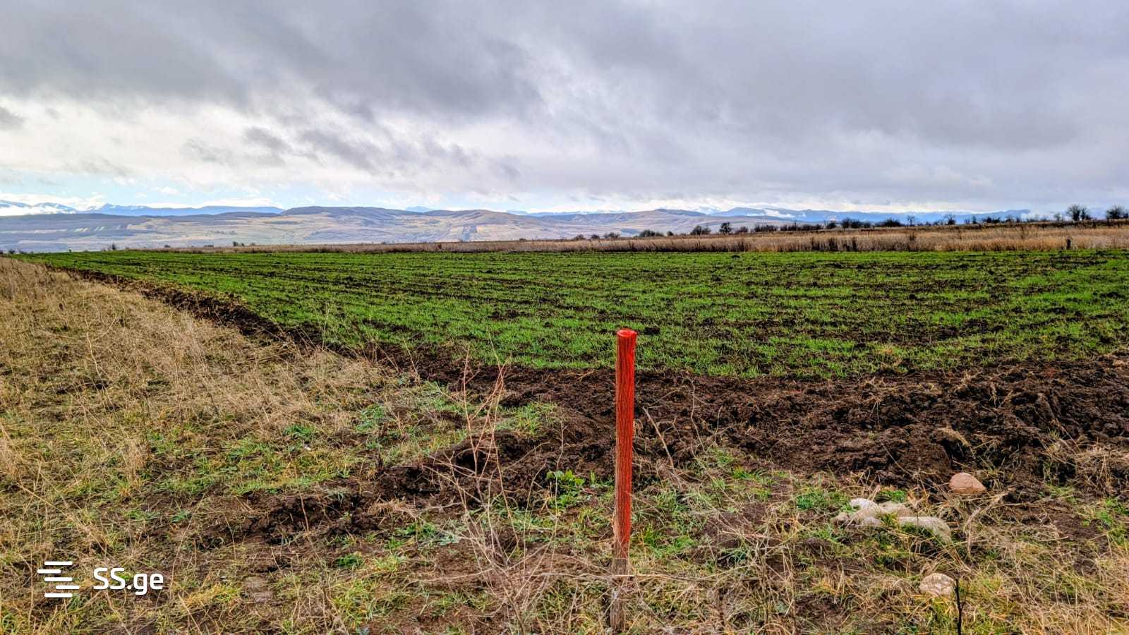 Land For Sale. Kaspi view 11