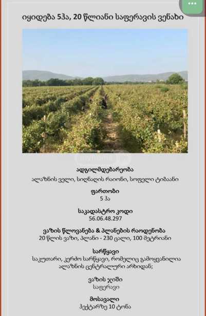 Land For Sale. Tsnori