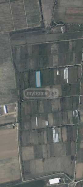 Land For Sale. Dzalisi