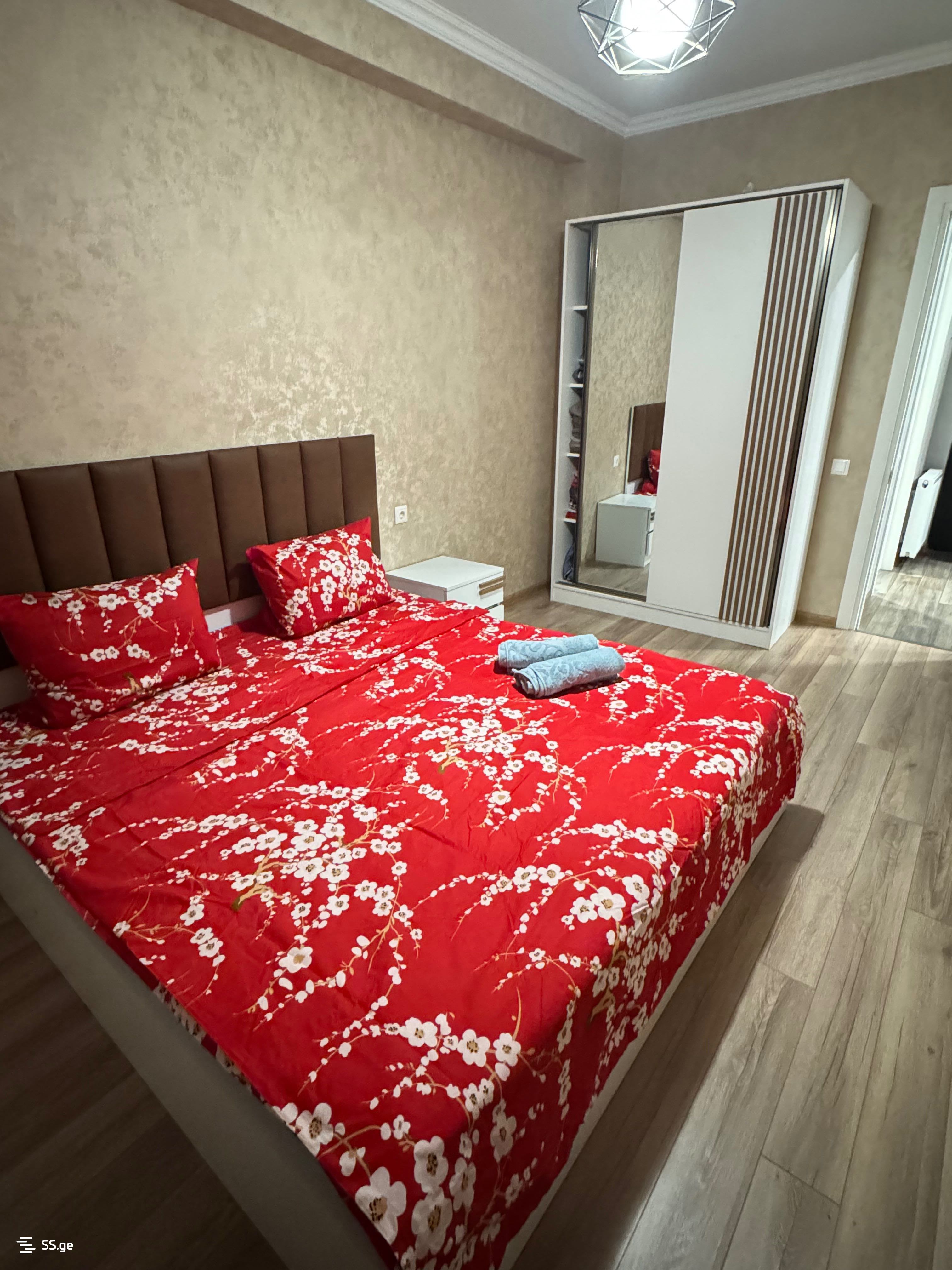2 Room Flat Daily Rent. Varketili, 4 of 6