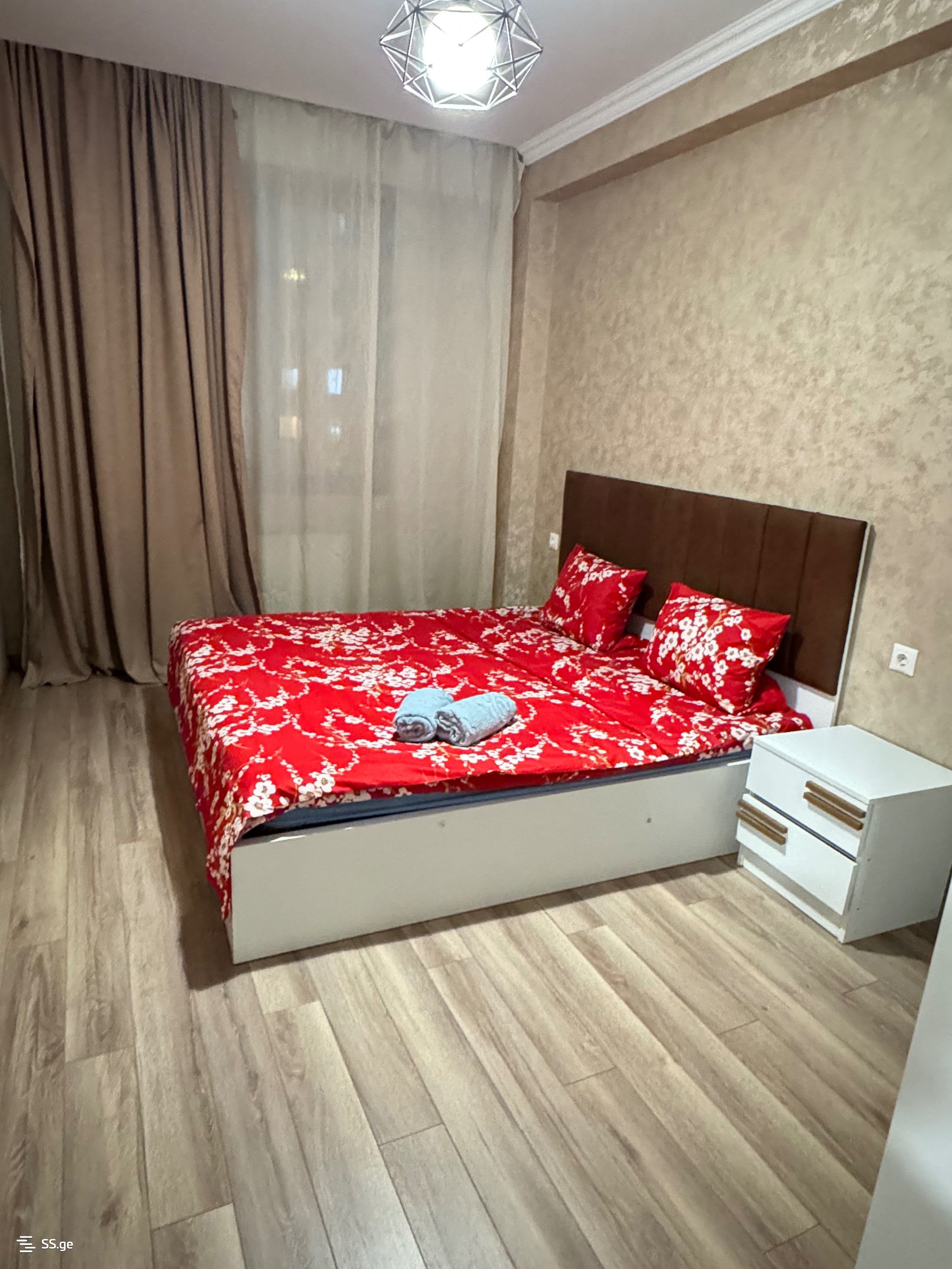 2 Room Flat Daily Rent. Varketili, 5 of 6