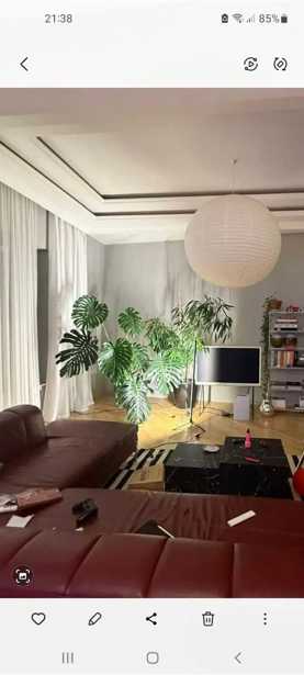 https://static.ss.ge/20251229/1_a826b173-bed8-4f6e-aa98-afef55dbc5bc_Thumb.jpg