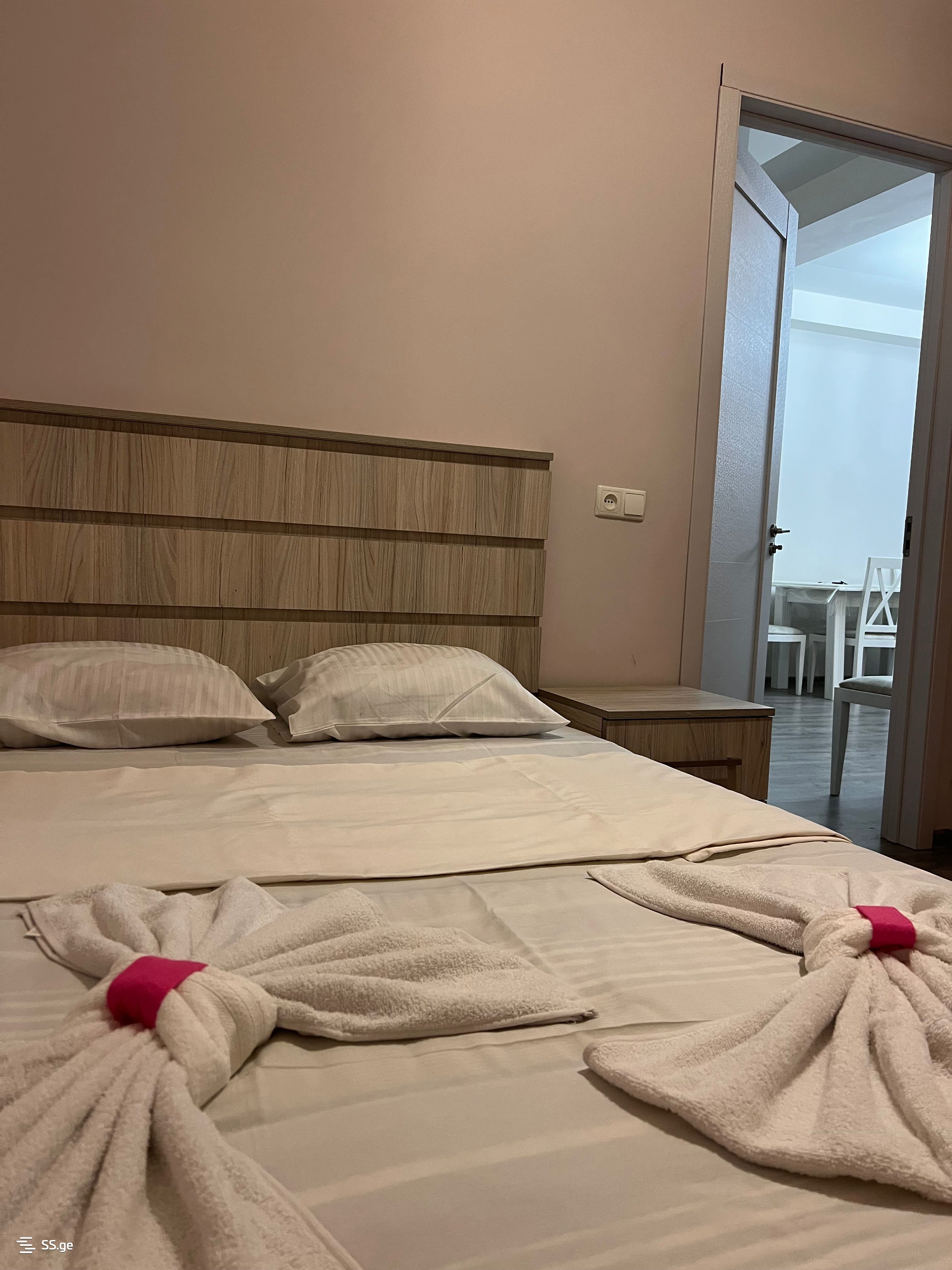 3 Room Flat Daily Rent. Kutaisi view 12
