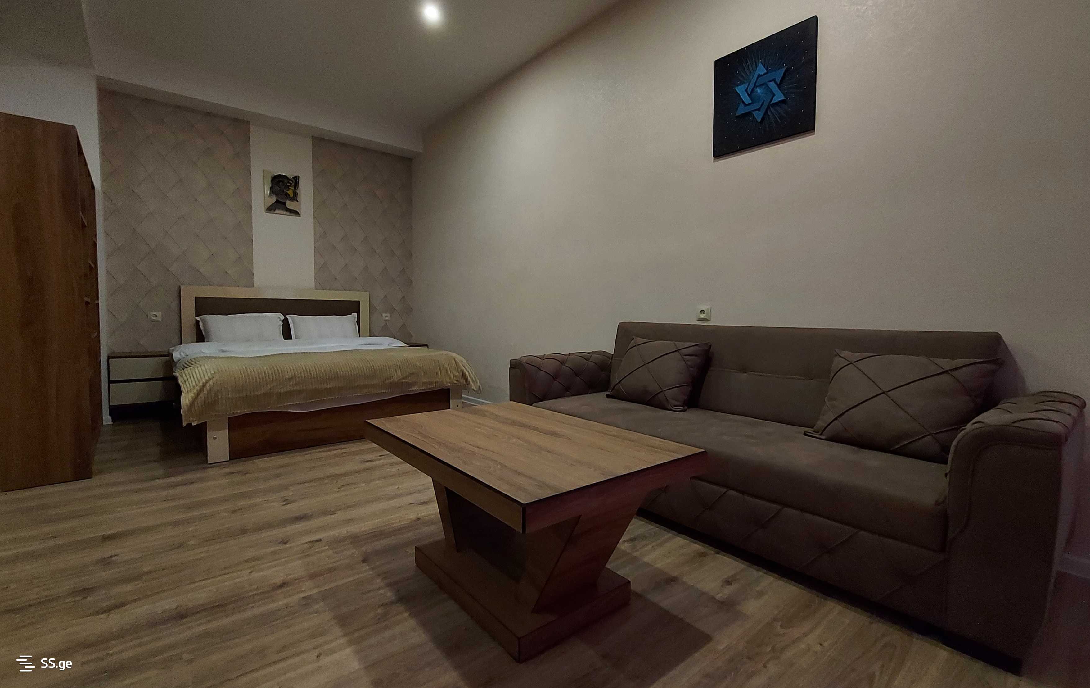 1 Room Flat Daily Rent. Gldani view 5