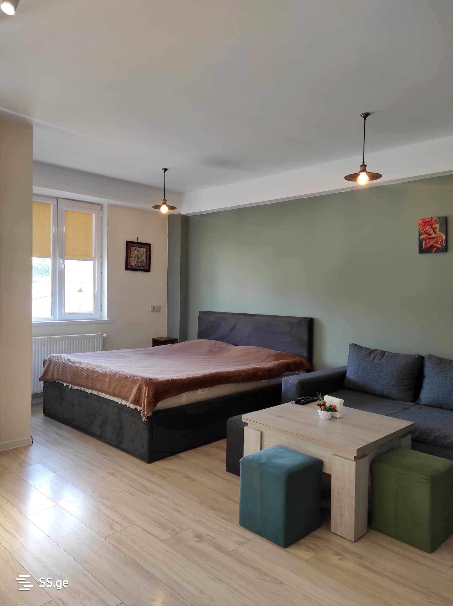 1 Room Flat Daily Rent. Bakuriani, 3 of 4