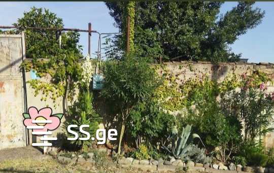 1 Room Private House Daily Rent. Isani view 8