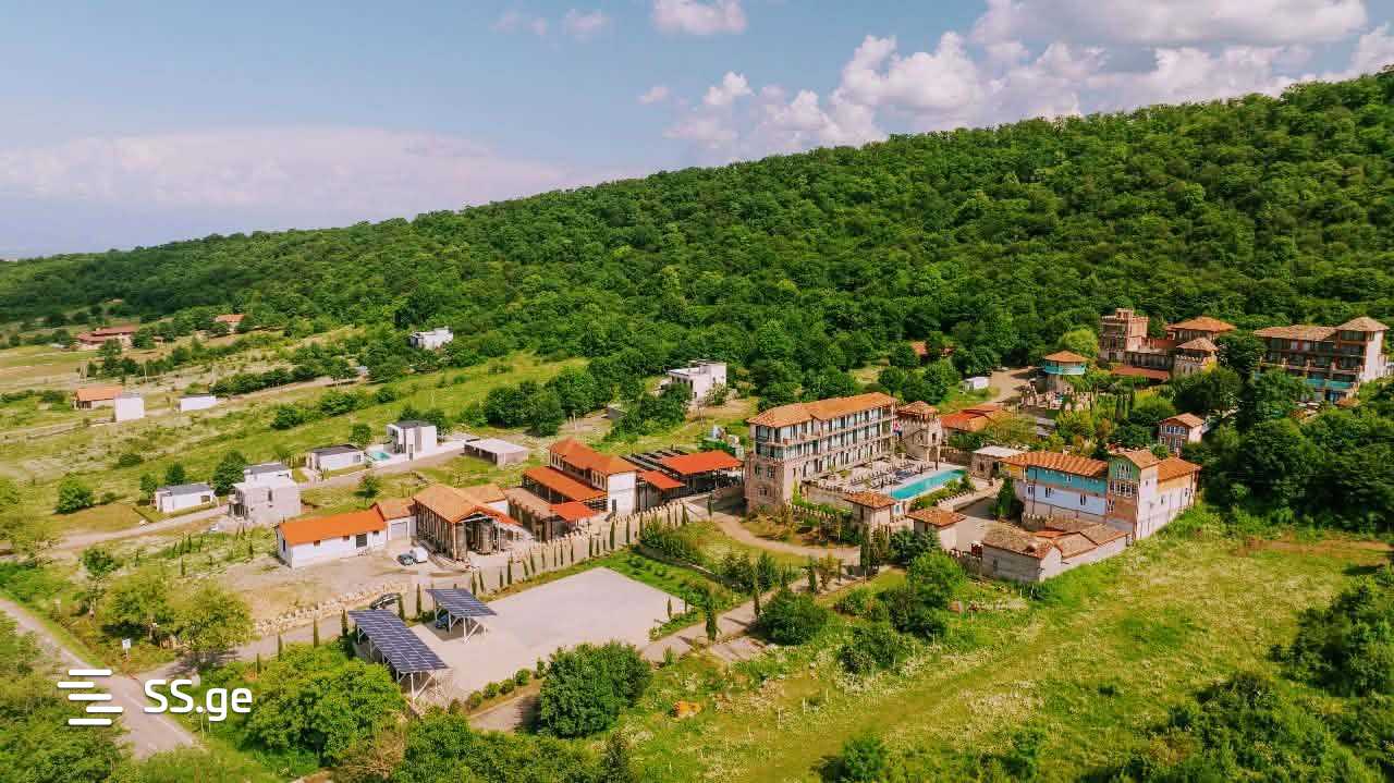 3 Room Private House For Rent. Telavi view 5
