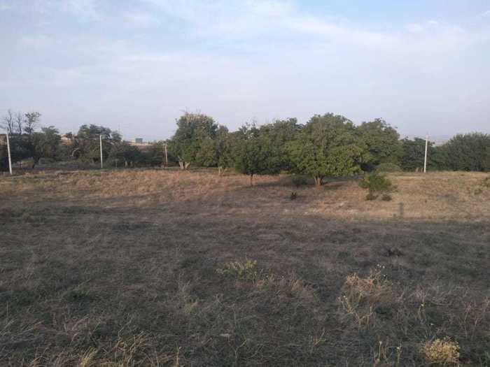 Land For Sale. Kvemo Teleti