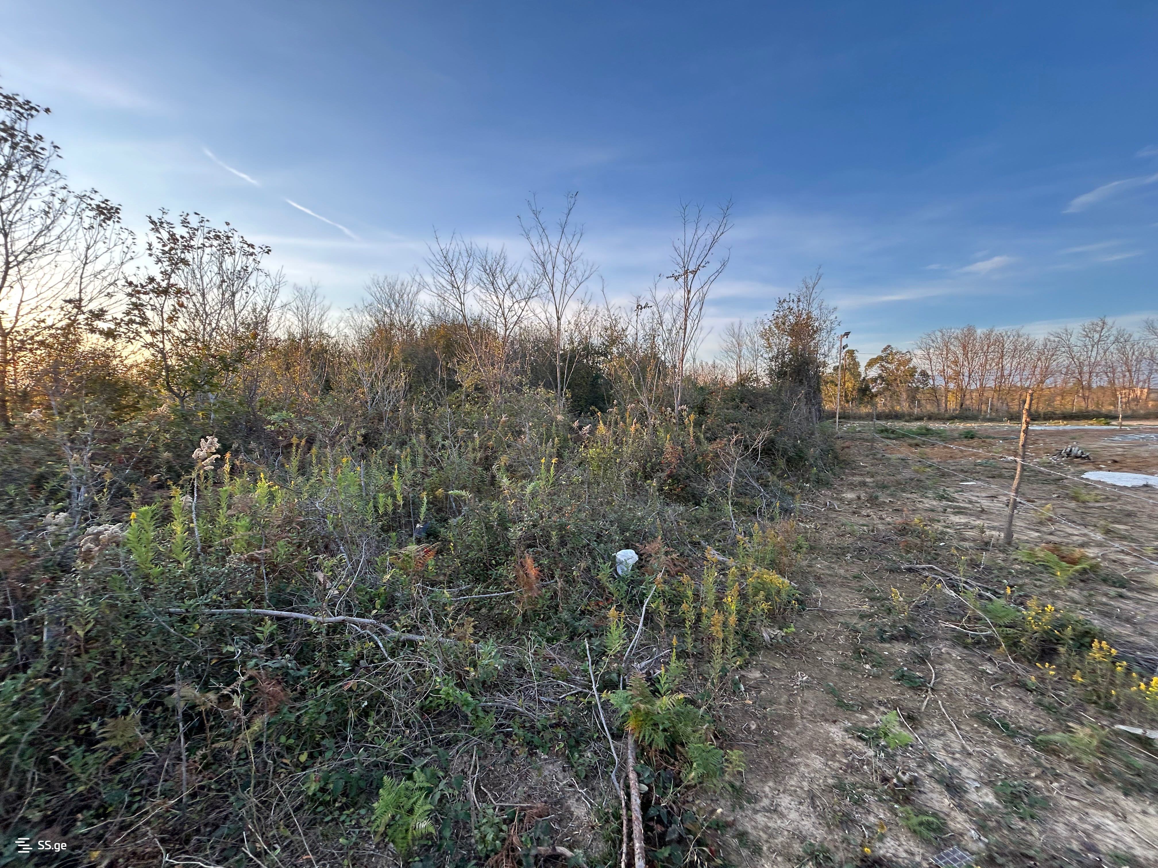 Land For Sale. Kutaisi, 4 of 4