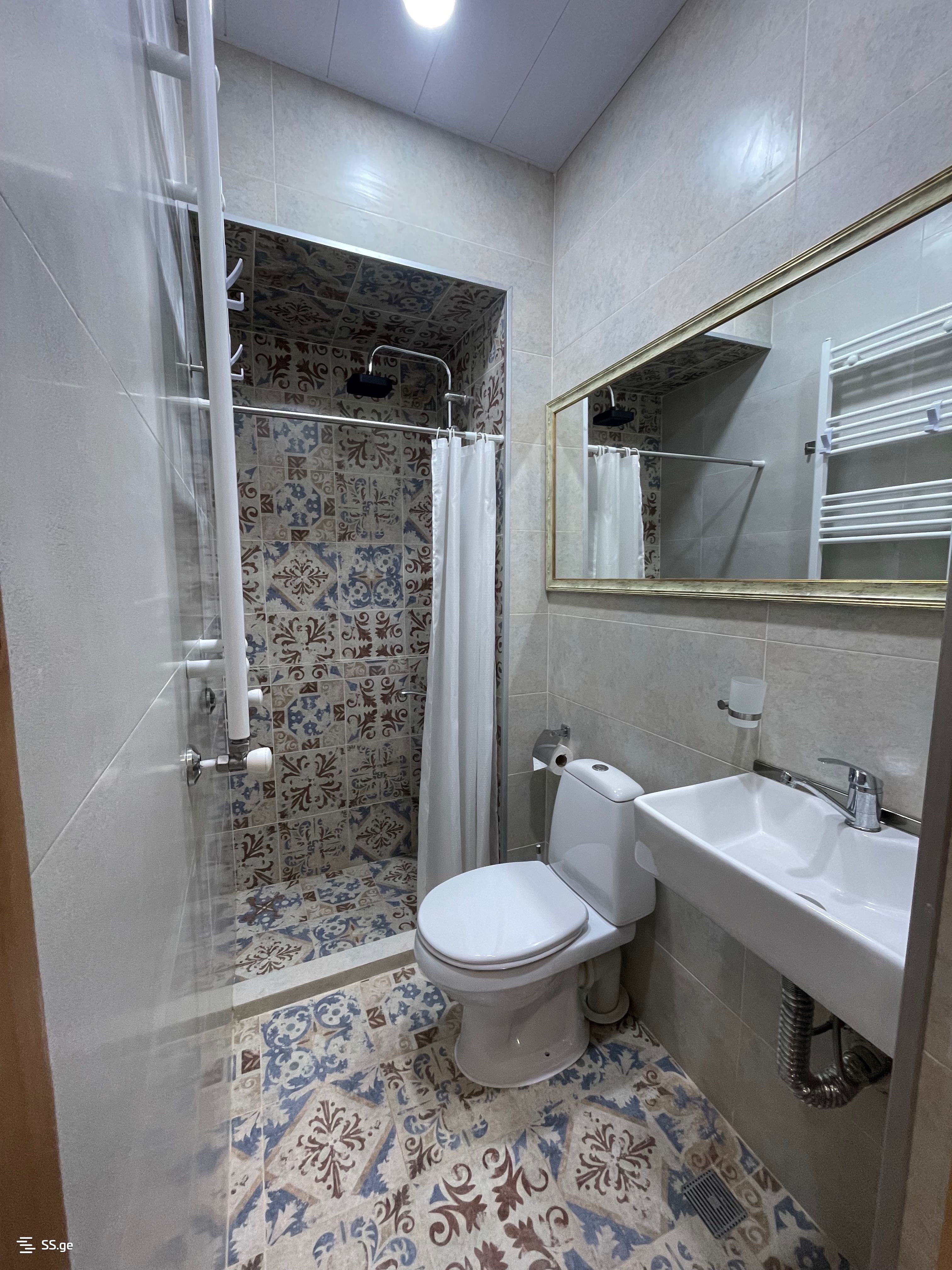 1 Room Private House Daily Rent. Borjomi view 12