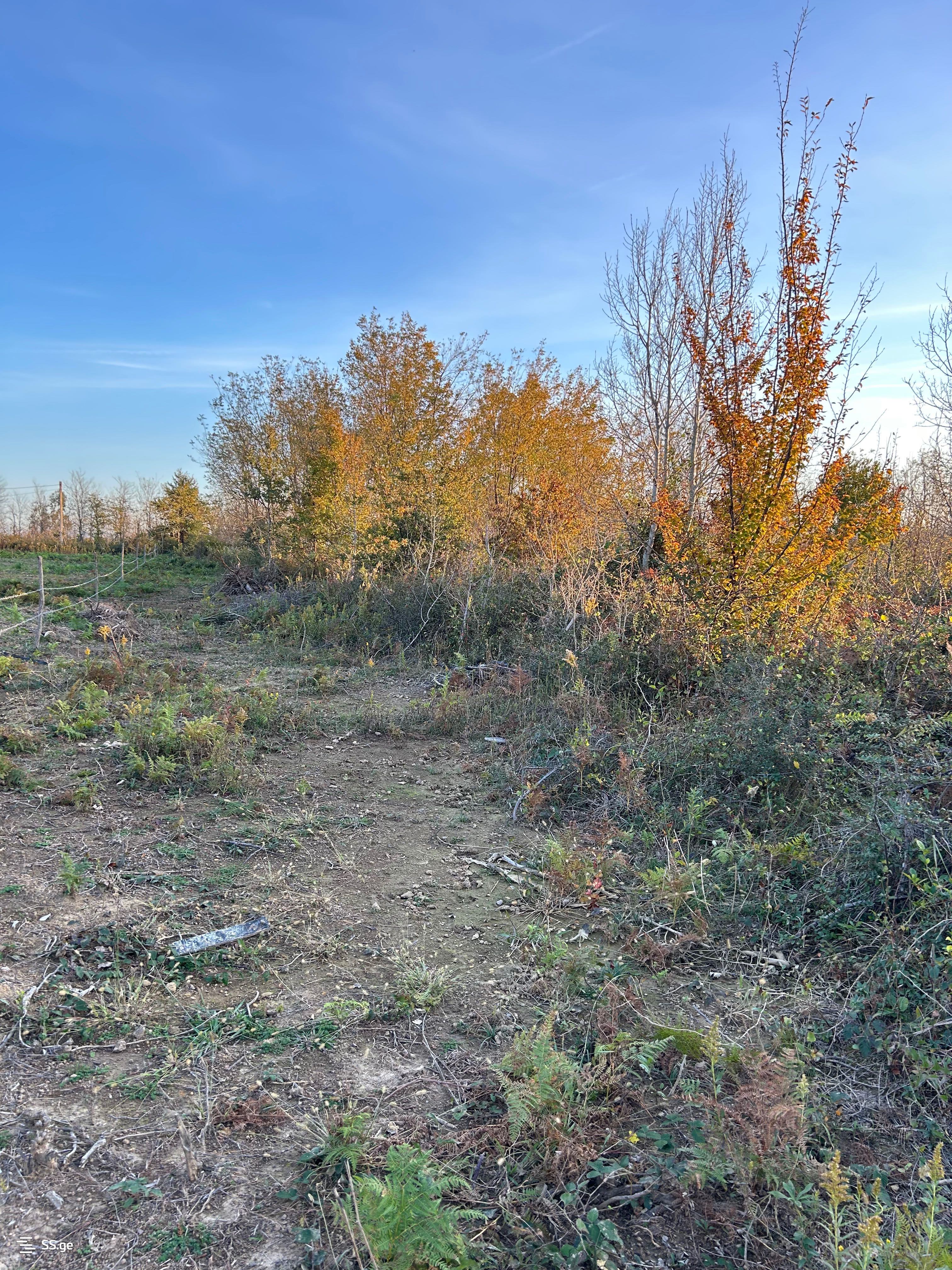 Продажа Земля в Кутаиси view 3