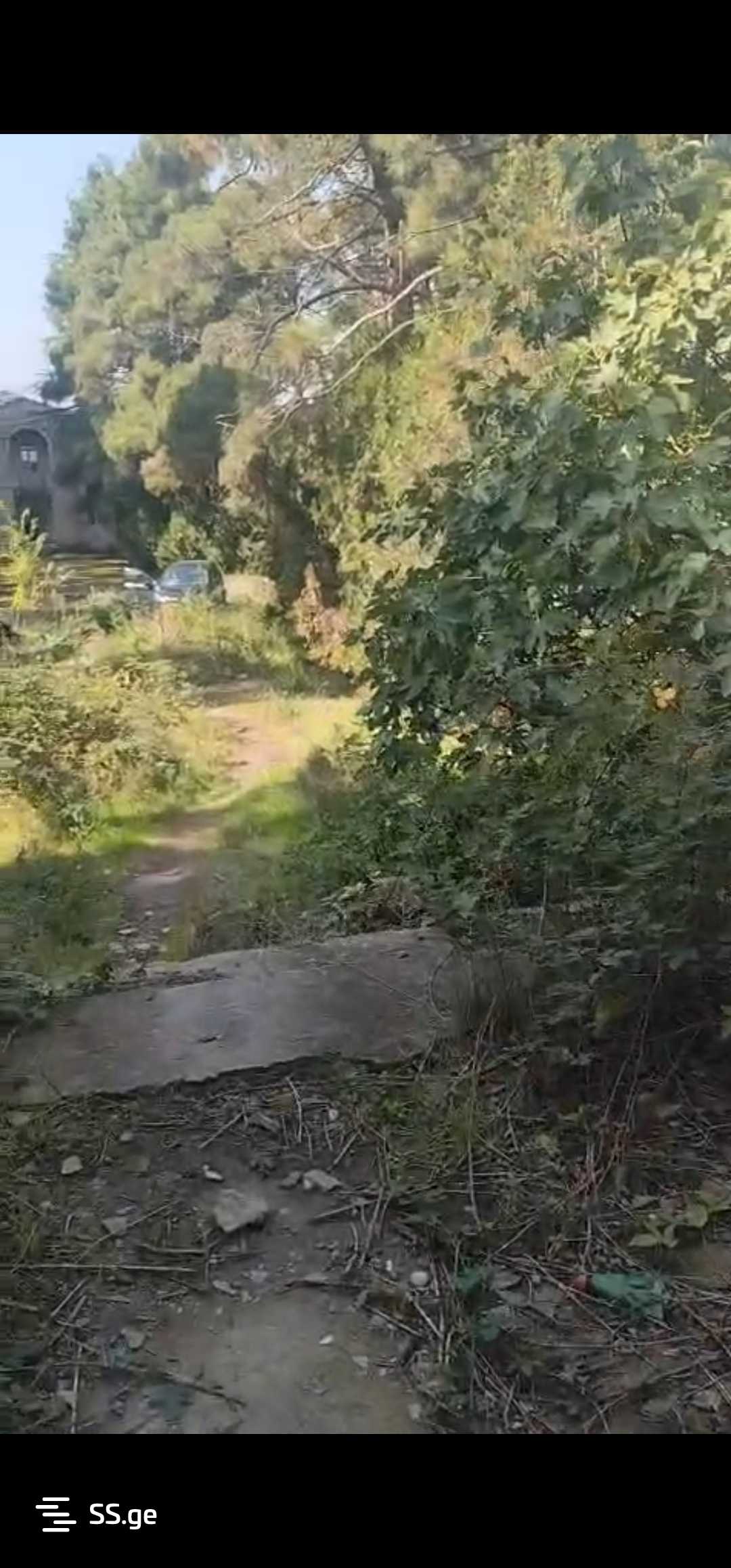 Non-Agricultural Plot For Sale In Gardabani view 19