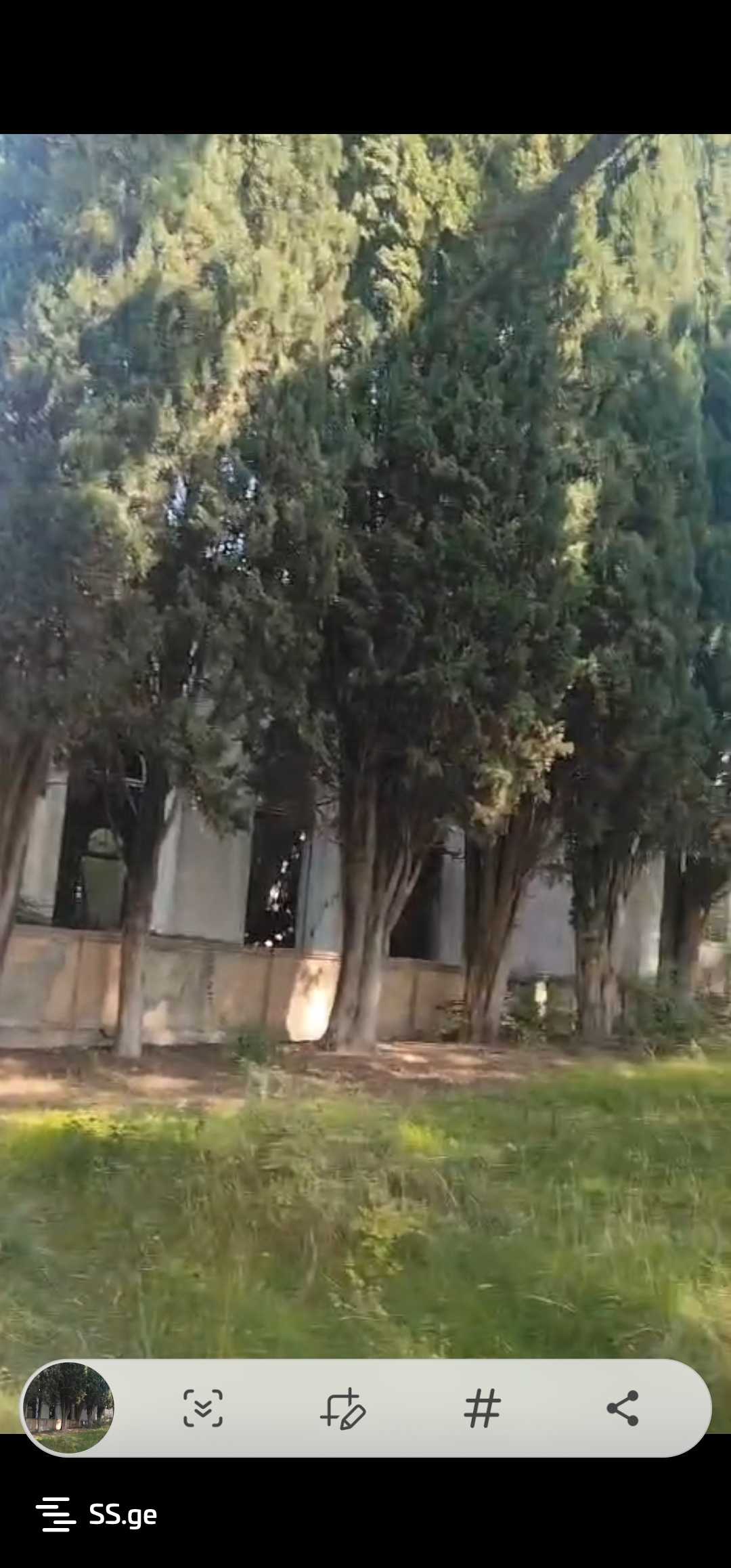 Non-Agricultural Plot For Sale In Gardabani view 17