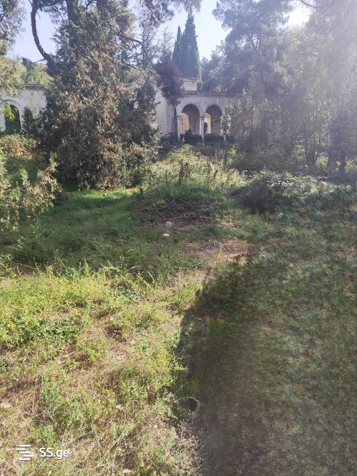 Non-Agricultural Plot For Sale In Gardabani view 21