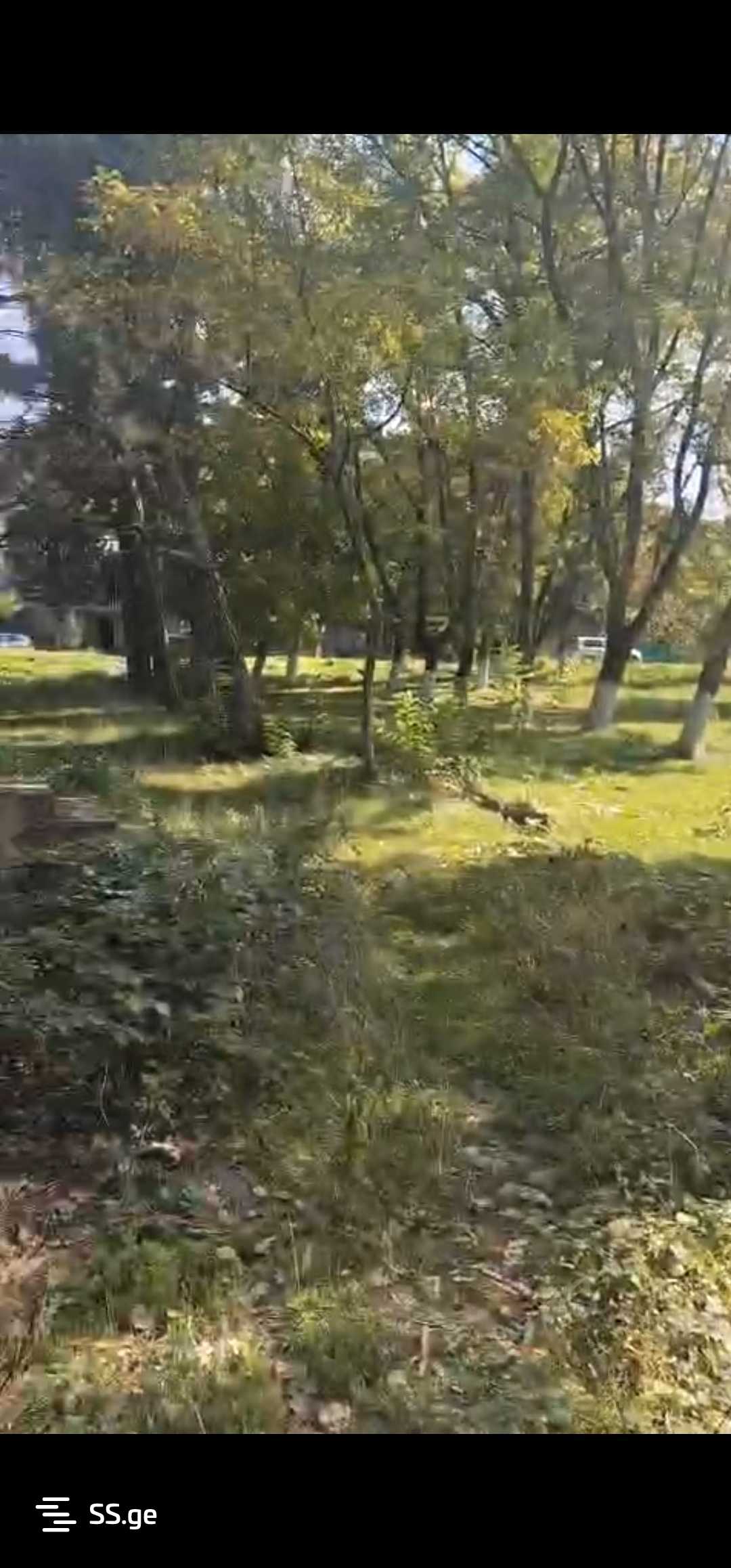 Non-Agricultural Plot For Sale In Gardabani view 14