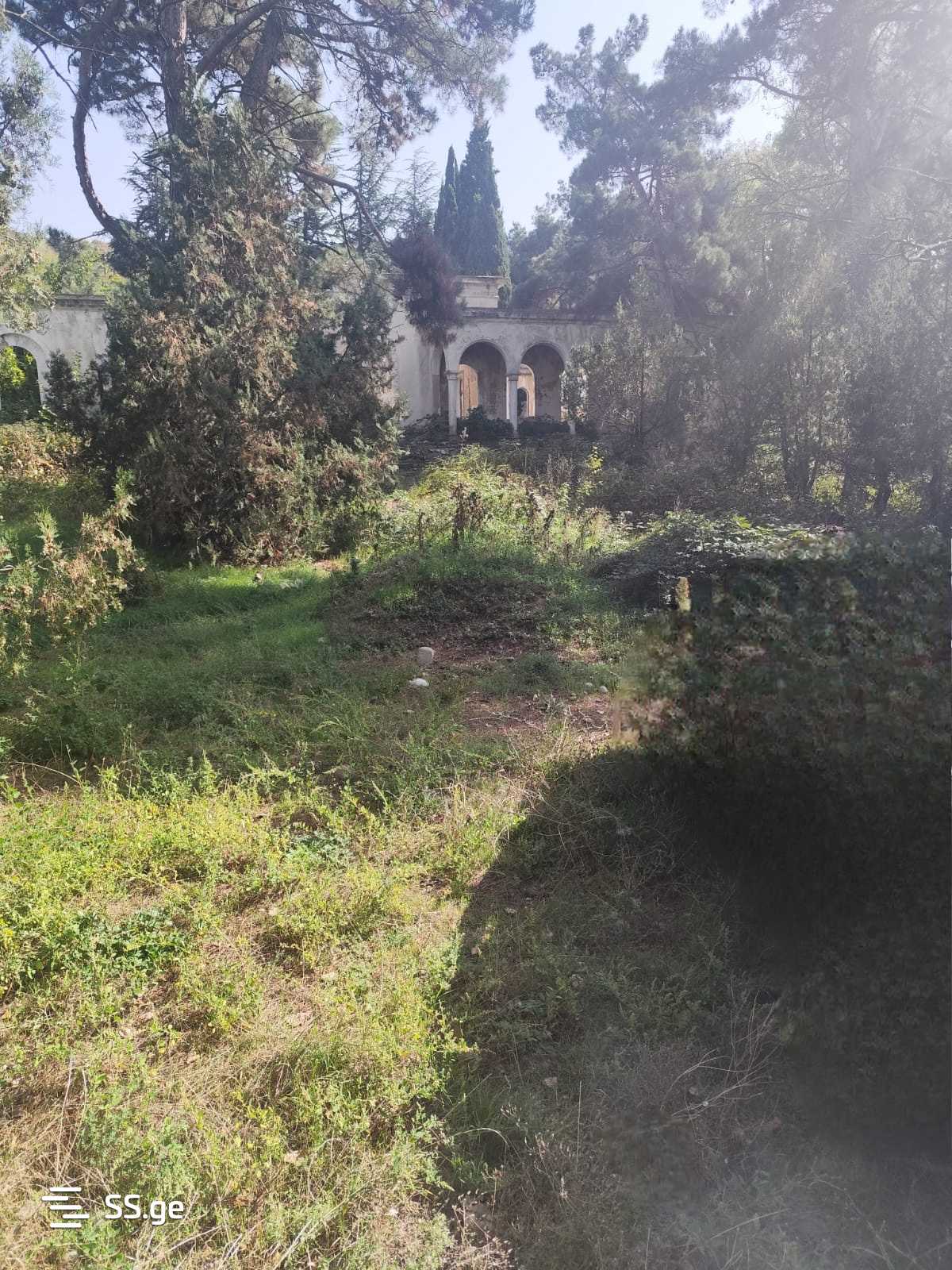 Non-Agricultural Plot For Sale In Gardabani view 20