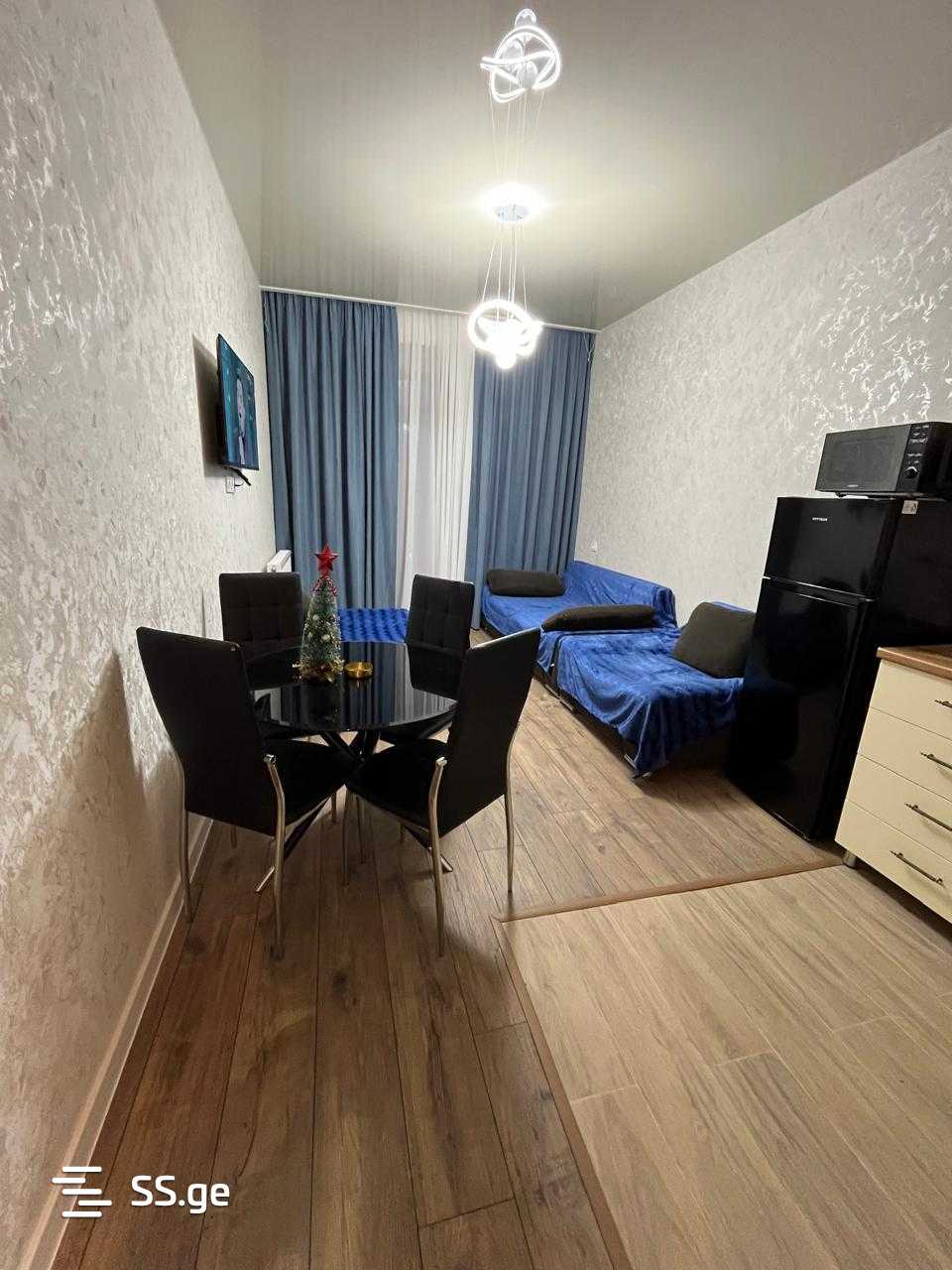 2 Room Flat Daily Rent. Rustavi view 2