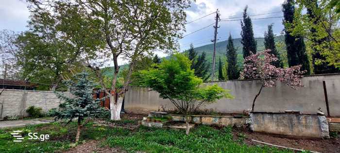 https://static.ss.ge/20260108/12_6480df23-d0da-4ab4-b56d-f5efa5b1b6d5_Thumb.jpg