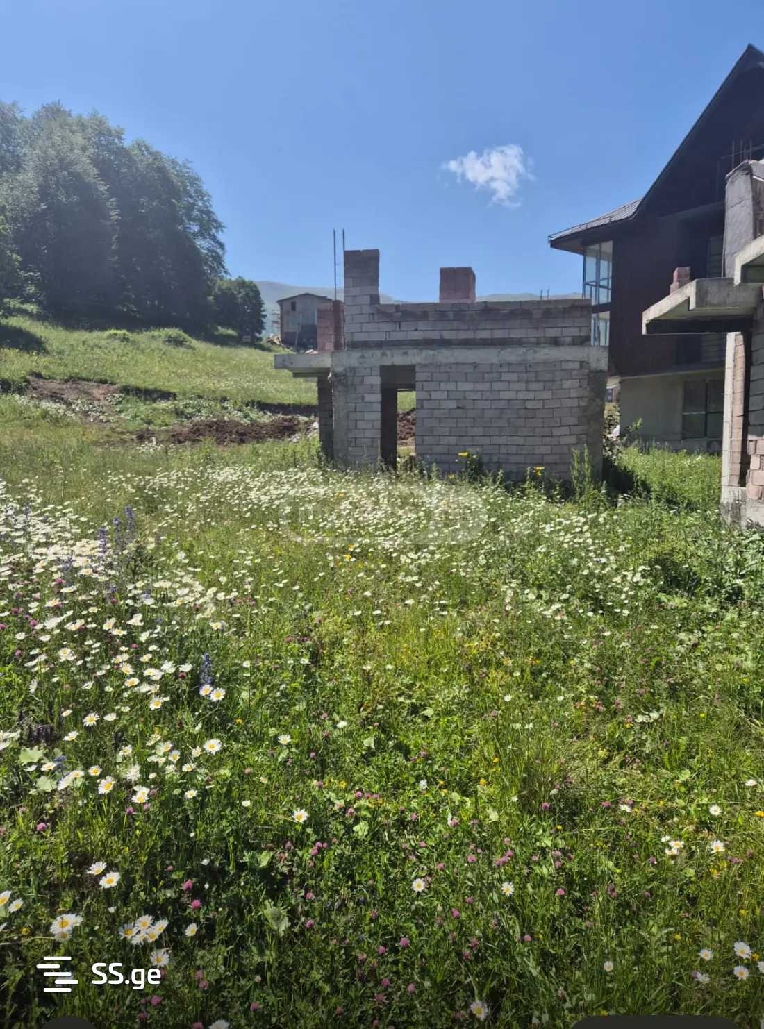 Land For Sale. Bakuriani view 1