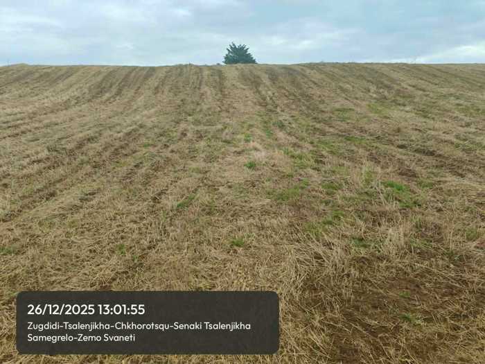 Land For Sale. Tsalenjikha