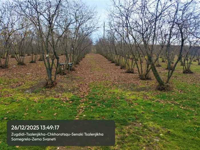Land For Sale. Tsalenjikha