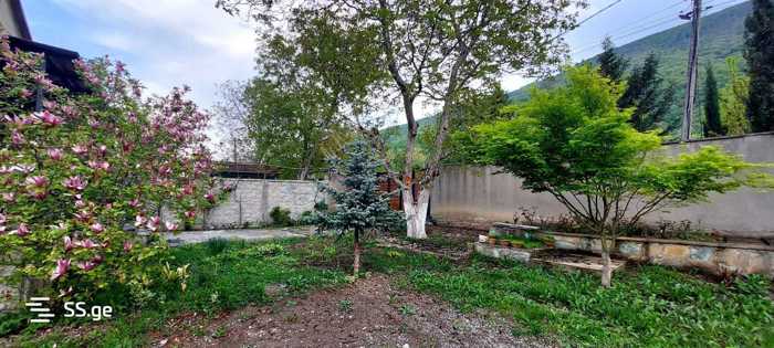 https://static.ss.ge/20260108/5_abd69b7b-a9f4-4e9d-b112-5a39f0e21020_Thumb.jpg