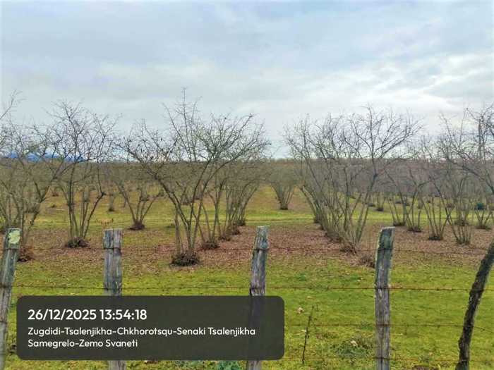 Land For Sale. Tsalenjikha