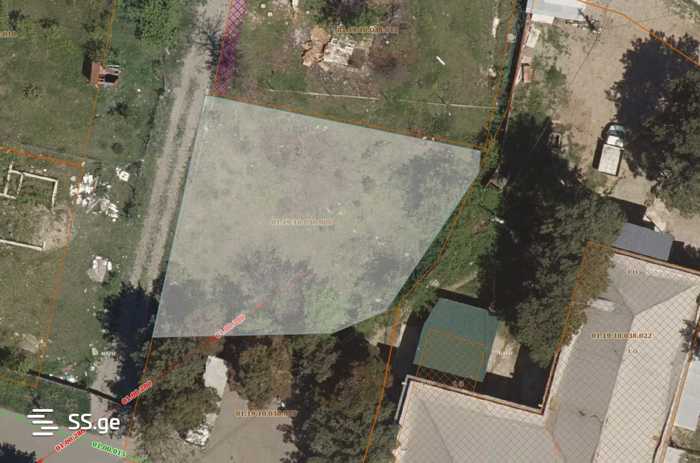 https://static.ss.ge/20260109/10_5c64193b-bf2e-40e3-a7eb-305df793e796_Thumb.jpg