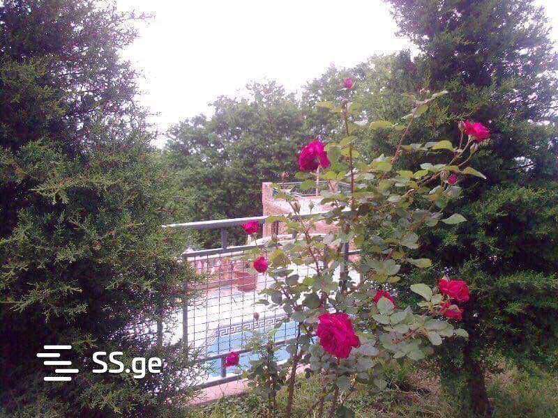 5 Room Private House For Sale view 5