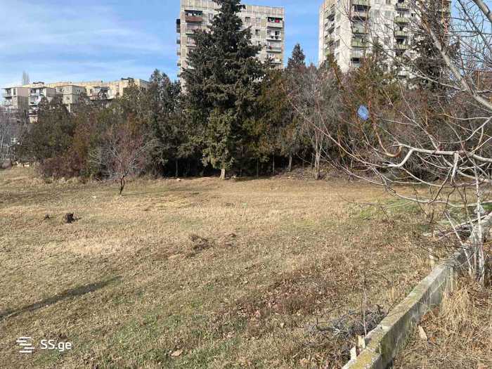 https://static.ss.ge/20260109/14_993cb5dd-f0e0-40d0-a00a-40818a0b94eb_Thumb.jpg