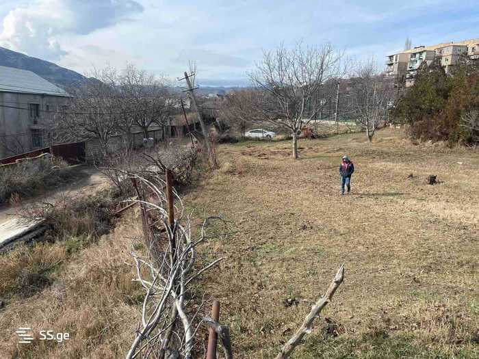 https://static.ss.ge/20260109/15_4291a224-063d-4c7f-a76b-bf8b9d681e55_Thumb.jpg