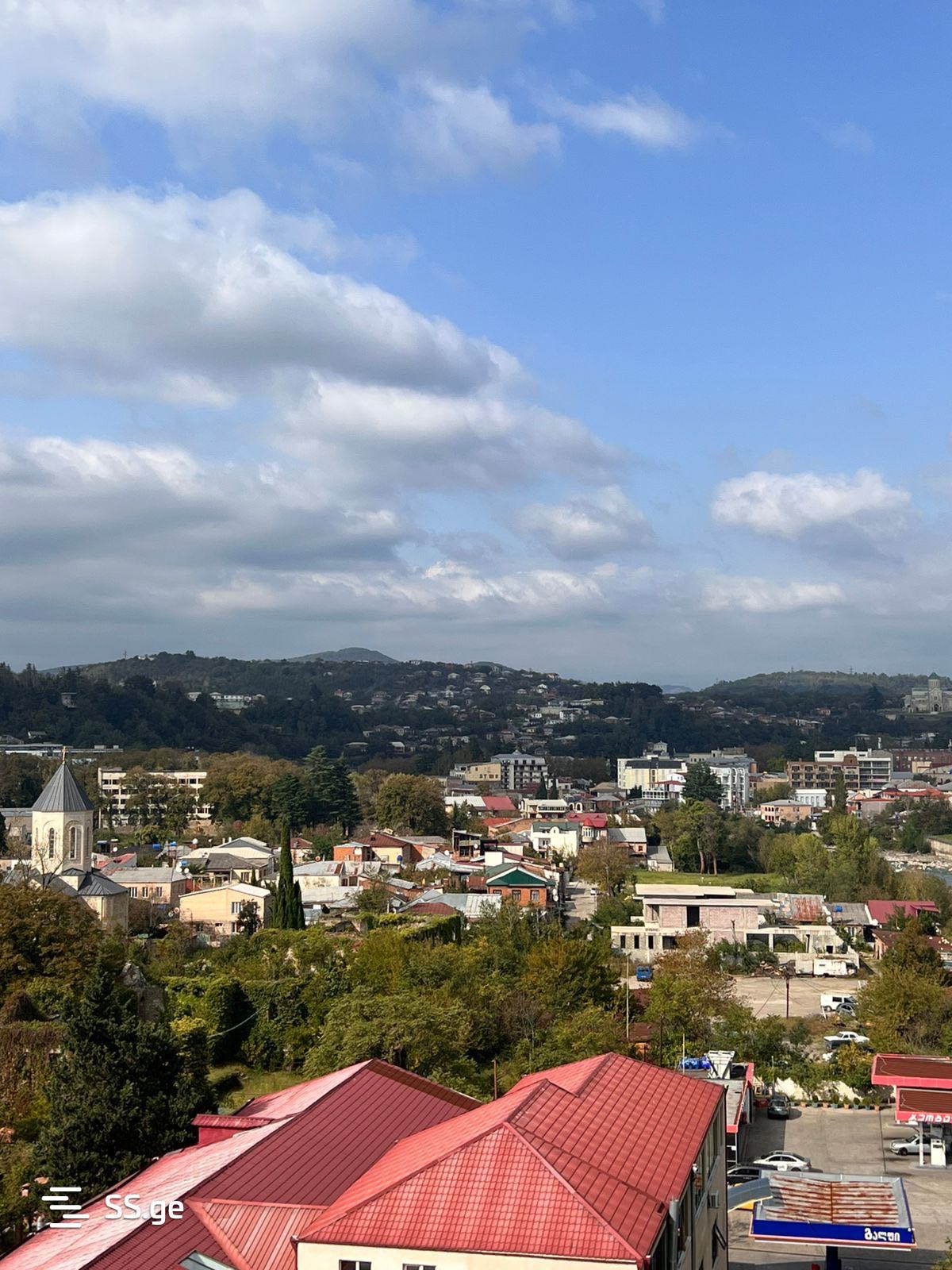 11 Room Private House Daily Rent. Kutaisi view 1