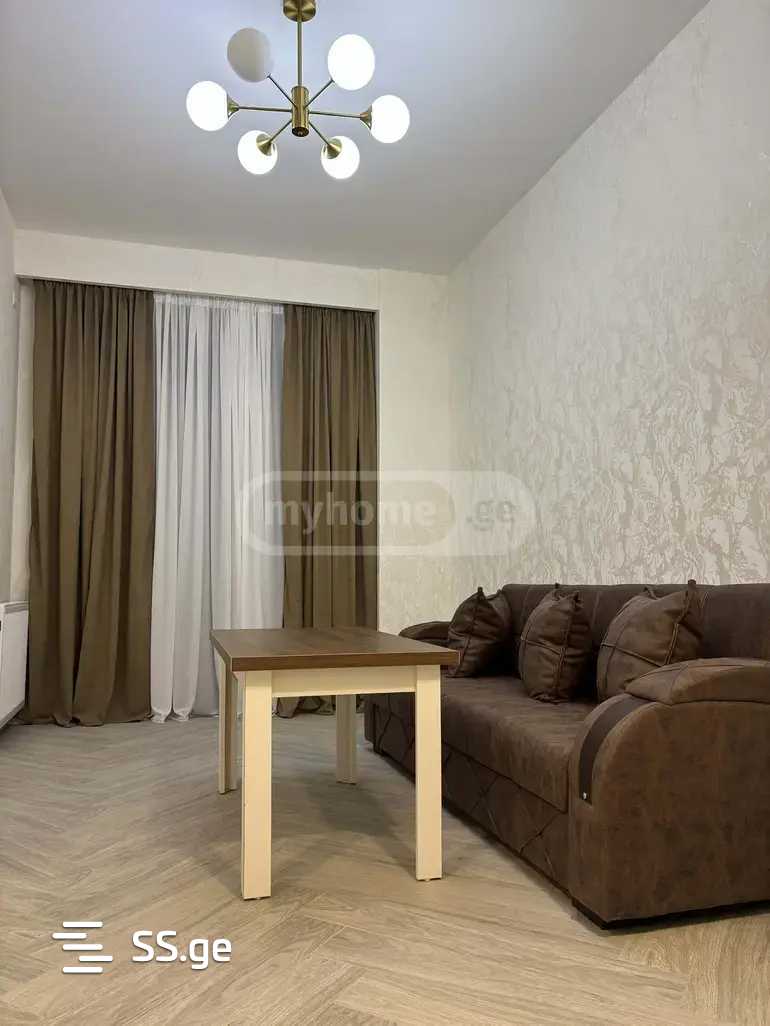 2 Room Flat For Rent. Nadzaladevi view 1