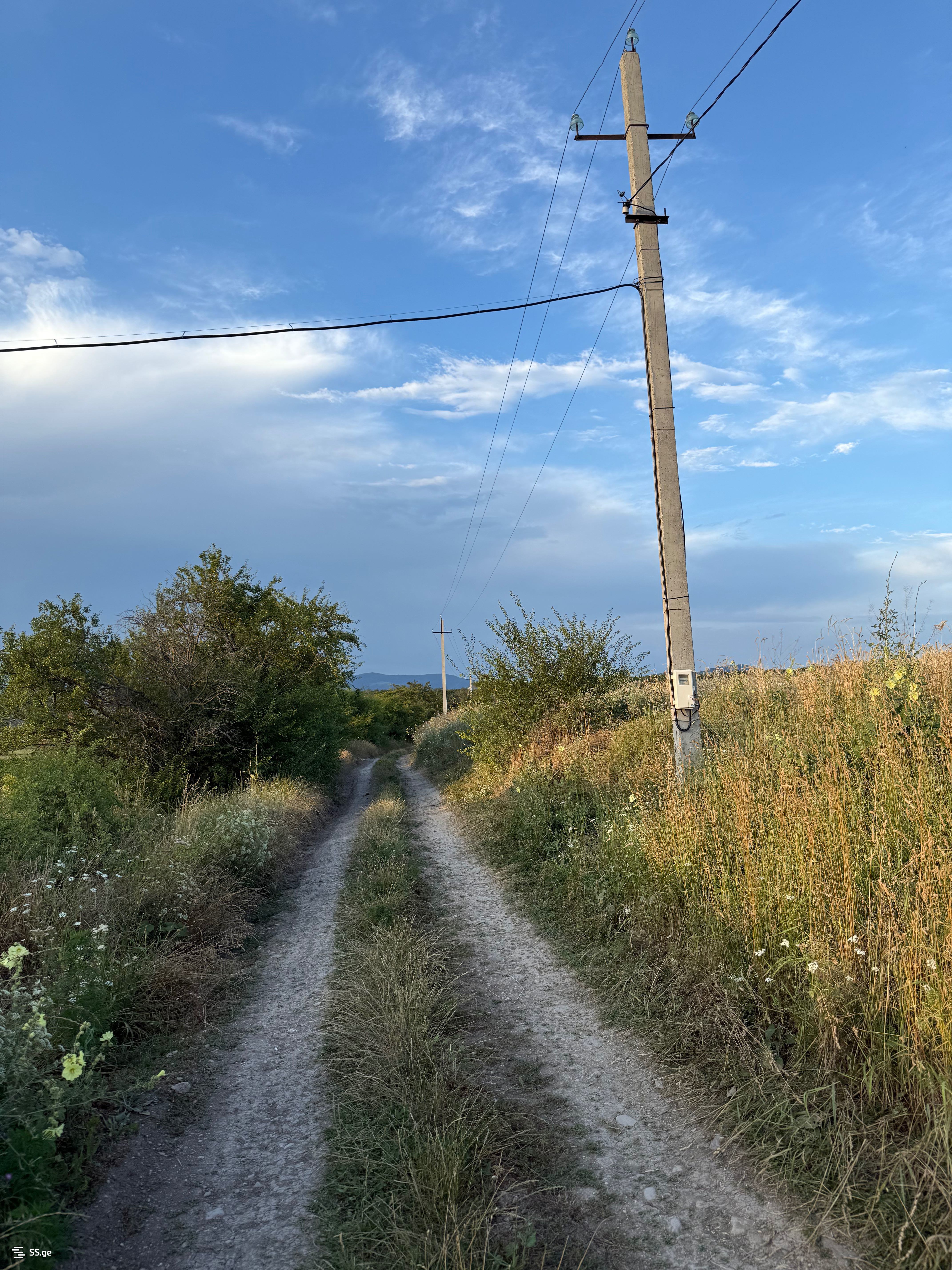 Agricultural Plot For Sale Near Bazalet Lake, In Dusheti Municipality view 14